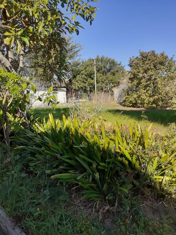 4 Bedroom Property for Sale in Albertinia Western Cape